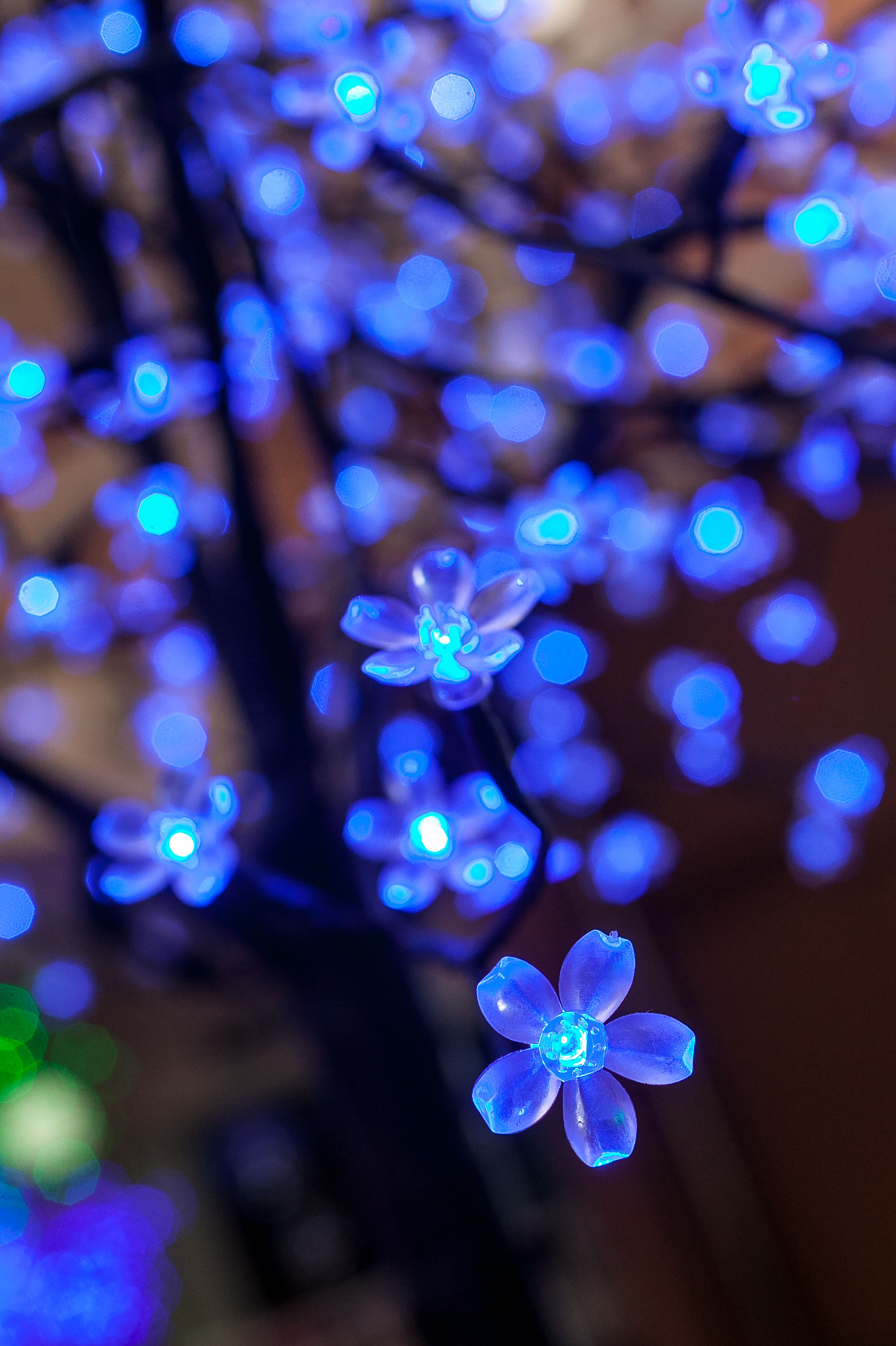 Árboles con luces led marcan la tendencia esta Navidad – Ideas del Hogar